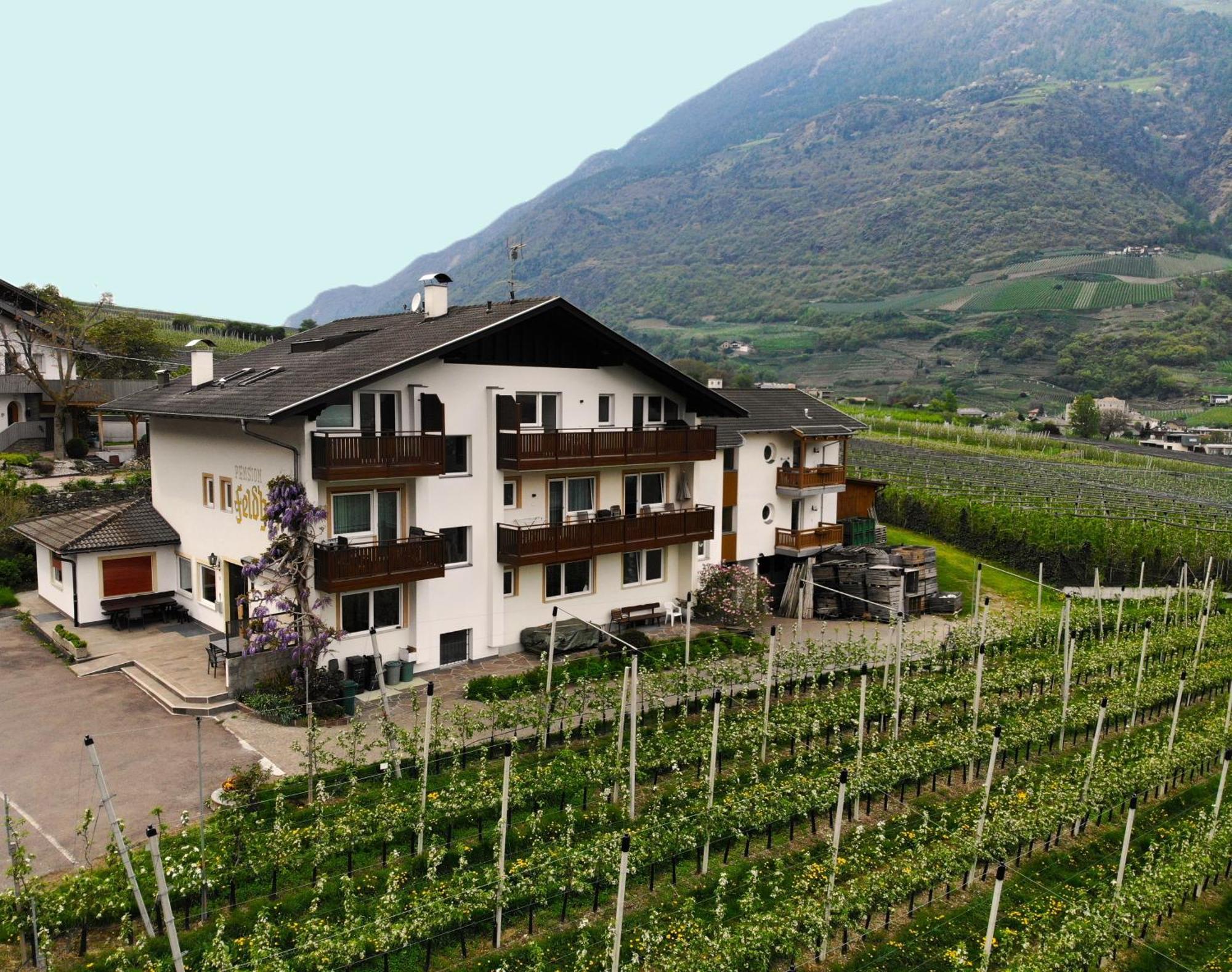 Residence Feldhof Castelbello Exteriör bild